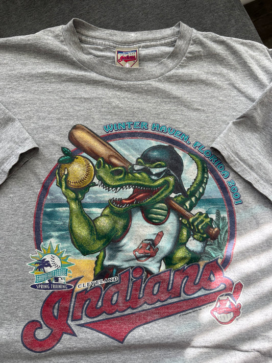 2001 Cleveland Indians Spring Training Tee (2XL)