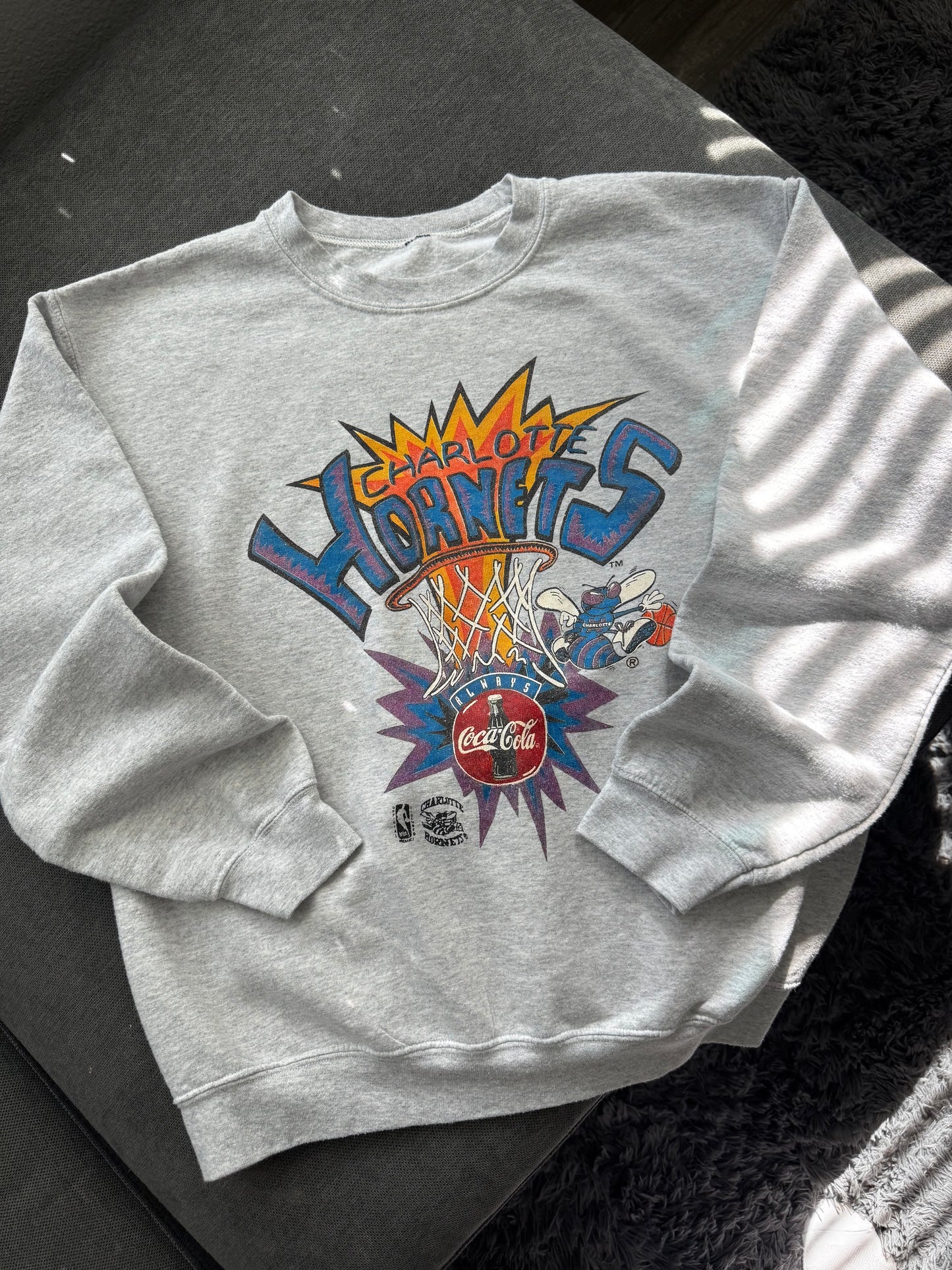 Vintage 90’s Charlotte Hornets Crewneck (Medium)